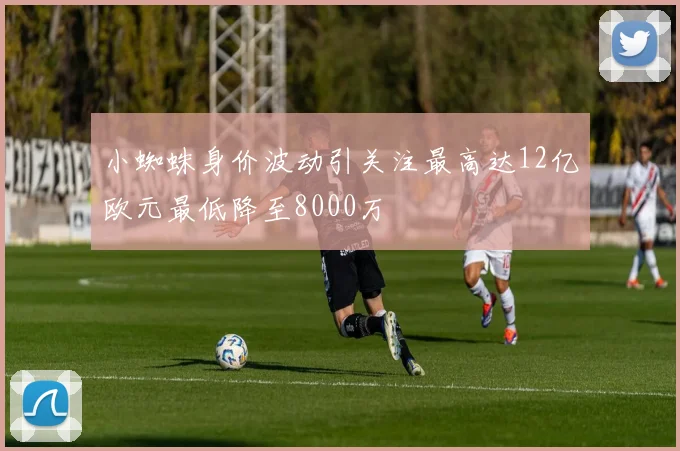 小蜘蛛身价波动引关注最高达12亿欧元最低降至8000万